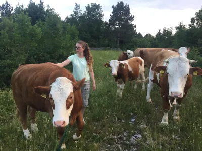 Pa&scaron;niki v okolici Pre&scaron;nice