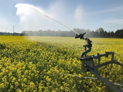 kmetijstvo, su&scaron;a, namakanje, polje, kmetija Krabonja, Mihovci pri Ormožu. Foto: Primož Krabonja 