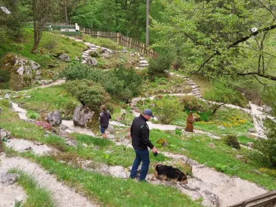  Alpski butanični vrt Juliana