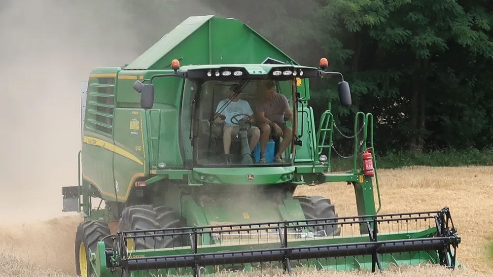 kmetijstvo, žetev, polje, p&scaron;enica