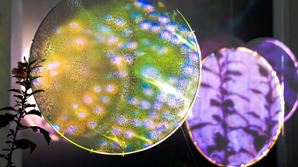 Camila Mejia in Erik W&auml;lz: Mikroplasti, svetlobna instalacija, Svetlobna gverila 2023