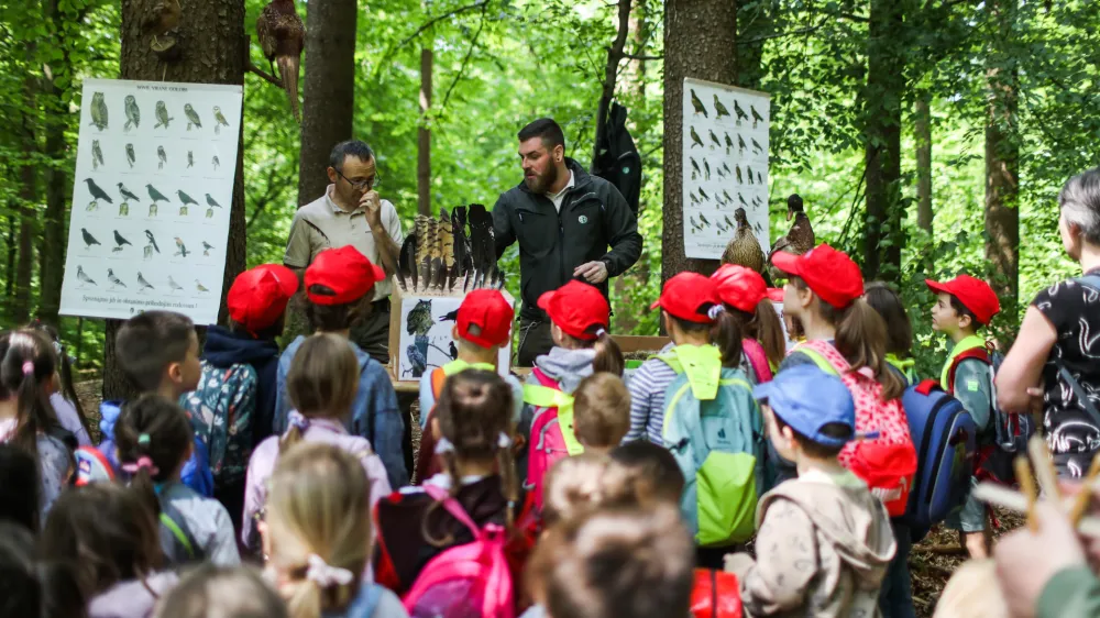 - 23.05.2023 - Vseslovenski Teden gozdov 2023 na temo Gozdovi prihodnosti - Prireditev "Gozd, voda in mlinček", Sračja dolina pri Črnučah - potok Črnu&scaron;njica //FOTO: Bojan Velikonja