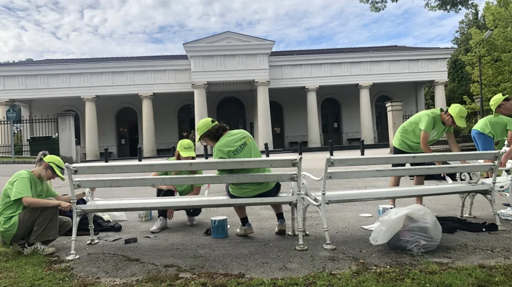 Dija&scaron;ko delo, Celje