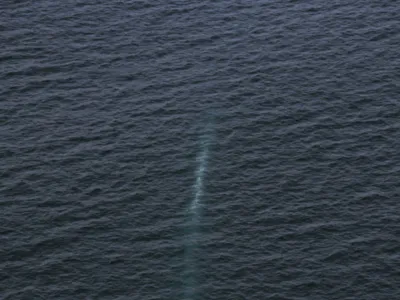 23 March 2023, North Korea, ---: An image provided by North Korea's state-run KCNA news agency on 24 March 2023, which was reportedly taken between March 21 and March 23, shows the unmanned "Haeil" underwater nuclear attack ship in action during an exercise in Hongwon Bay in the waters off North Korea's east coast. Photo: -/KCNA/KNS/dpa - ACHTUNG: Nur zur redaktionellen Verwendung und nur mit vollst&auml;ndiger Nennung des vorstehenden Credits