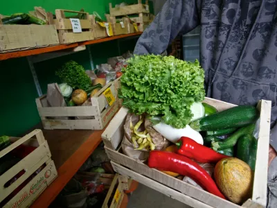 Moj eko vrt - Ekolo&scaron;ka kmetija Studen<br>- sadje in zelenjava -//FOTO: Luka Cjuha