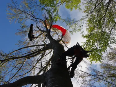 Veliko jadralnih padalcev zasilno pristane v drevesnih kro&scaron;njah.