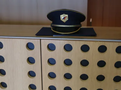 Nekateri policisti z lokalne ravni, ki morajo poleg rednega dela v patruljah re&scaron;evati &scaron;e zadeve s področja gospodarske kriminalitete, se ne počutijo dovolj usposobljene za to delo. Opozarjajo na pomanjkljivo organizacijo dela.