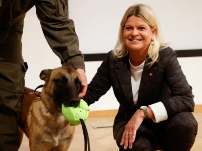 Austria's Defence Minister Klaudia Tanner pets Fantasy, a sniffer dog trained to detect the coronavirus disease (COVID-19), next to a trainer during a news conference in Vienna, Austria November 2, 2021. REUTERS/Leonhard Foeger