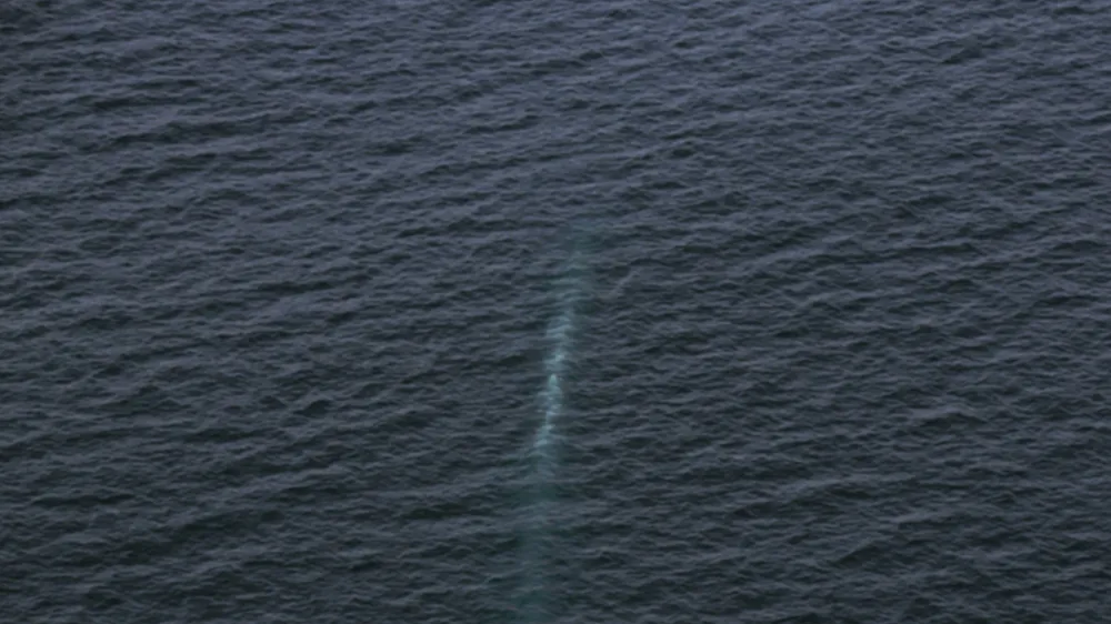 23 March 2023, North Korea, ---: An image provided by North Korea's state-run KCNA news agency on 24 March 2023, which was reportedly taken between March 21 and March 23, shows the unmanned "Haeil" underwater nuclear attack ship in action during an exercise in Hongwon Bay in the waters off North Korea's east coast. Photo: -/KCNA/KNS/dpa - ACHTUNG: Nur zur redaktionellen Verwendung und nur mit vollst&auml;ndiger Nennung des vorstehenden Credits