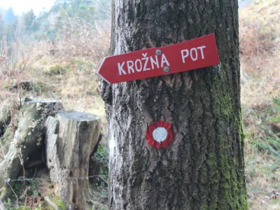 Dnevnikova izvidnica, Lovrenc na Pohorju