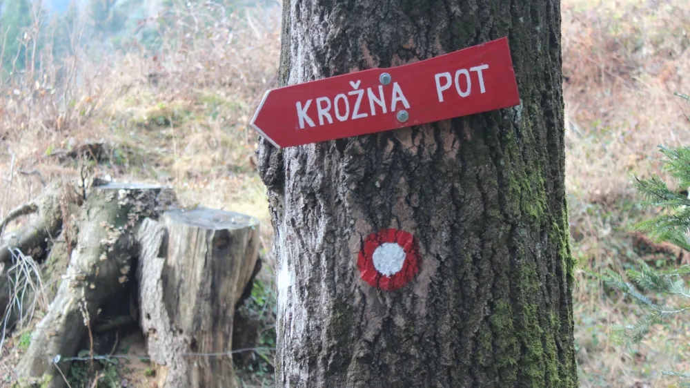 Dnevnikova izvidnica, Lovrenc na Pohorju