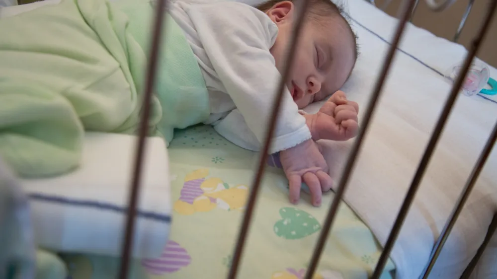 - 15.12.2015 - Pediatrična klinika - Tradicionalni spust Božičkov s strehe po zunanji strani Pediatrične klinike UKC v Ljubljani -i//FOTO: Maja Marko