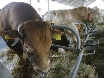   - 49. mednarodni kmetijsko-živilski sejem AGRA &ndash; Pomurski sejem - Gornja Radgona 2011    //FOTO: Jaka Adamič