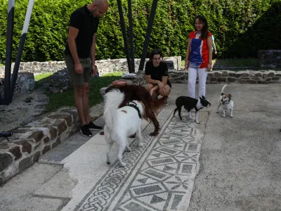 - 10.09.2023. Voden ogled po Emoniki namenjen lastnikom psov s psi. Ogled arheolo&scaron;kih ostankov rimskega mesta Emonika.//FOTO: Bojan Velikonja