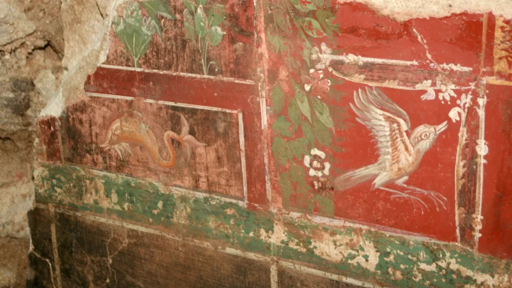 Pri prenovi Muzejskega trga pred &scaron;estimi leti so naleteli na antično vilo z dragocenimi freskami. Foto: Nina Sovdat