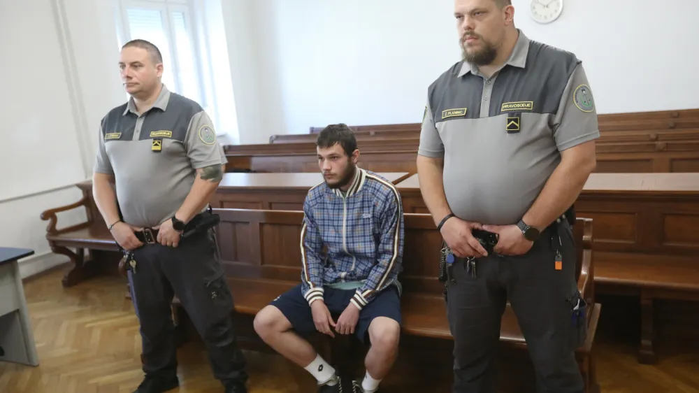 Lazar Terentić se za zdaj brani z molkom, očitanega kaznivega dejanja uboja pa ni priznal. Foto: Sa&scaron;o Bizjak, Večer