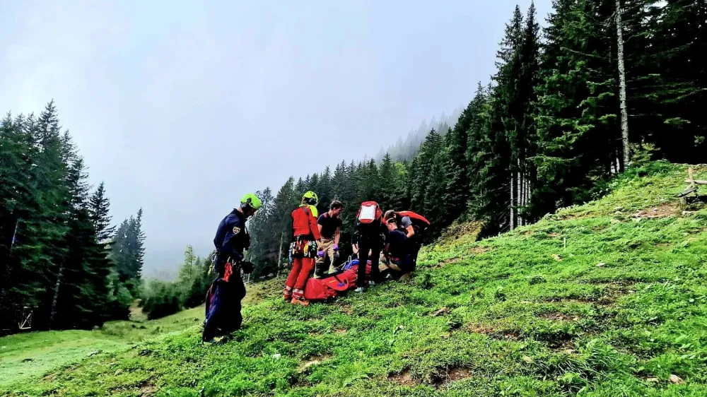 Bik je pastirja napadel na Jeseni&scaron;ki planini. F GRS Jesenice
