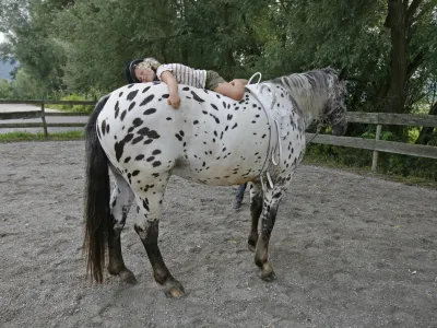 - zdravljenja čustvenih in prehranskih motenj - program psihoterapija s konji //FOTO: Luka CjuhaOPOMBA: ZA OBJAVO V PRILOGI &ndash; DNEVNIKOV OBJEKTIV - REPORTAŽA