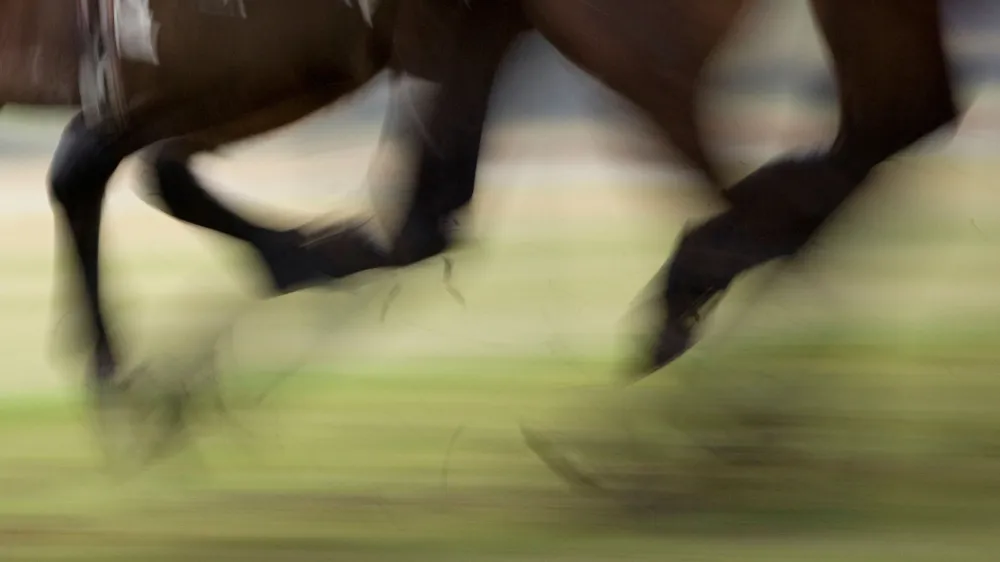 BK3DDA Horses hooves in a race