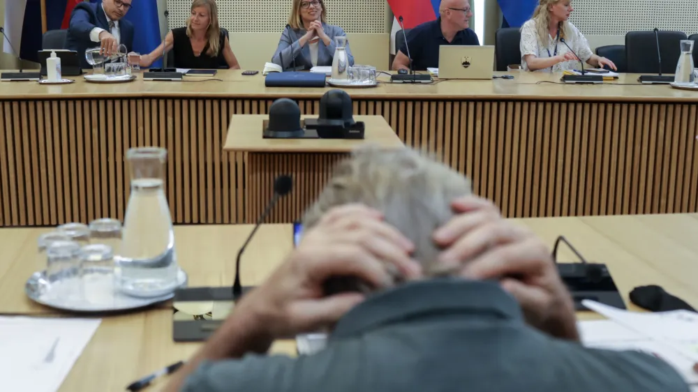 Po aferi z letalskimi vozovnicami se mora ministrica za javno upravo Sanja Ajanović Hovnik ta čas zagovarjati &scaron;e zaradi očitkov o morebitno netransparentnem razdeljevanju javnega denarja. Foto: Jaka Gasar&nbsp;