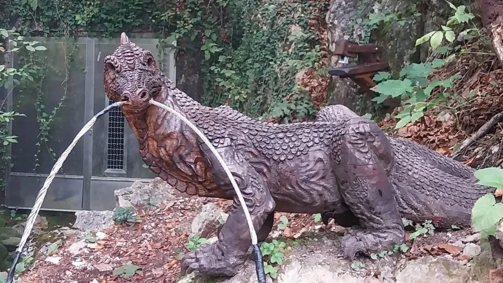 Čuvaj izvira Bele, zmaj Lintvern. 