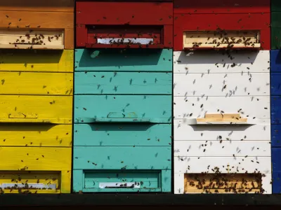 čebelarstvo - čebele - panji<br><br><br>- Zeli&scaron;čarska kmetija Plavica - Cerovec 34 - Dolenjske Toplice, zeli&scaron;čarstvo<br><br><br><br><br><br>//FOTO: Jaka Gasar