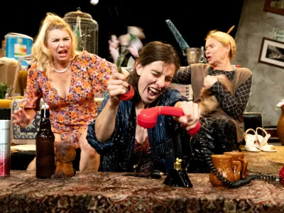 Predstava, s katero je Schwab segel naravnost v smrdljivo kloako člove&scaron;ke primitivnosti in izvlekel na plano vso banalnost in bizarnost člove&scaron;kega blata, bo na kranjskem odru prvič predstavljena v petek, 13. oktobra, ob 19. uri.&nbsp;