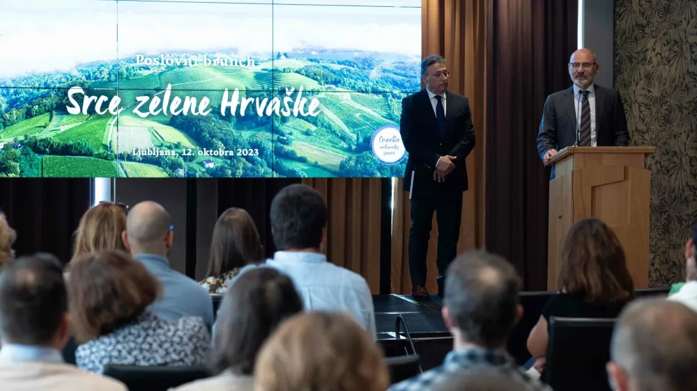 Boris Grigić veleposlanik F Sa&scaron;a Despot