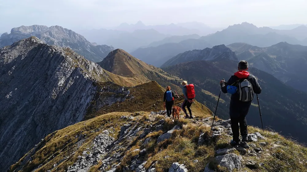 Reportaža/ Karnijske Alpe in Monte Zermula (20143 m) F Manca Ogrin