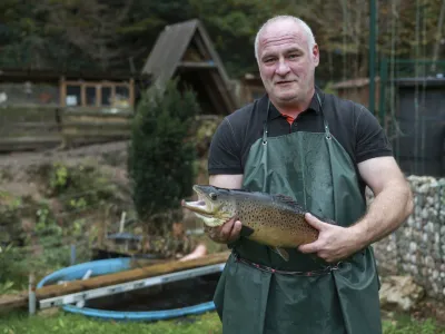 Andrej &Scaron;koberne, - 30.10.2023 - Ribogojnica Natura, vzreja postrvi, Želimlje 23C, //FOTO: Jaka Gasar