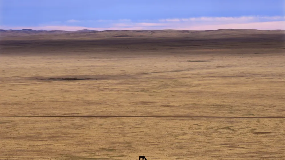 A lone horse grazes in the Munkh-Khaan region of the Sukhbaatar district, in southeast Mongolia, Saturday, May 13, 2023. Chronic drought plagues Mongolia. So does warming. Since 1940, the country's government says, average temperatures have risen 2.2 degrees Celsius (nearly 4 degrees Fahrenheit) &mdash; a measure that may seem small, but for global averages, scientists say every tenth of a degree matters, and a warming world brings more weather extremes. (AP Photo/Manish Swarup)