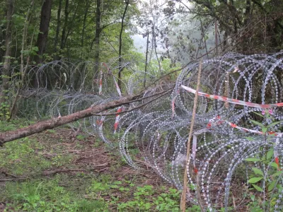 Kočevsko, ograja, rezilna žica. Foto: Dragana Stanković