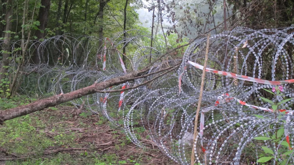 Kočevsko, ograja, rezilna žica. Foto: Dragana Stanković
