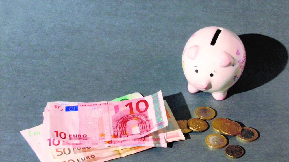 &scaron;parovček pujsek, varčevanje denar evri------3 kolone