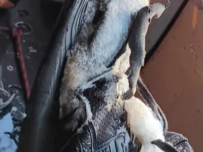 ''V takih copatih &scaron;e poleti ne bi upal niti na sosedov hrib, kaj &scaron;ele v Julijske Alpe.''