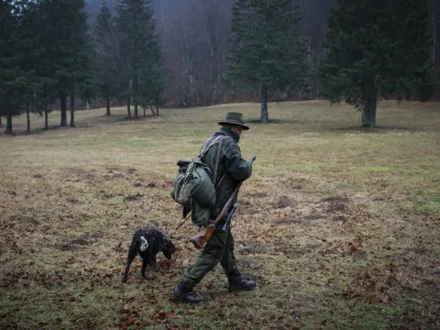 Lovci so se spomladi veselili predlagane novele zakona o divjadi in lovstvu, po kateri bi jim državni sklad vrnil zemlji&scaron;ča, ki so jih morali prenesti nanj. Toda na kmetijskem ministrstvu zatrjujejo, da vrnitev ni več aktualna. Fotografija je simbolična.&nbsp;