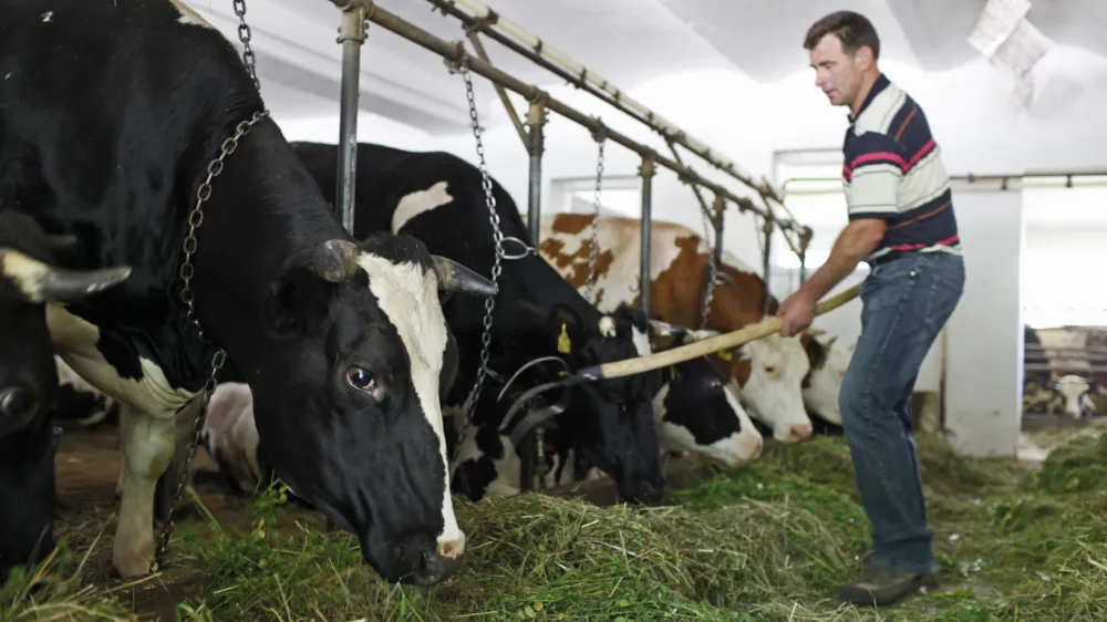 Jože Kogoj- pogovor o sezoni zelenjave v Sloveniji in o nadzoru nad prodajalci zelenjave; - novinarska konferenca ministrstva za kmetijstvo in okolje, In&scaron;tituta RS za varovanje zdravja (IVZ) in Kmetijske zadruge Krka //FOTO: Luka Cjuha