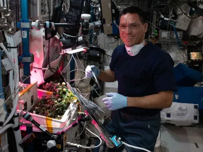 Paradižnik avstronavt