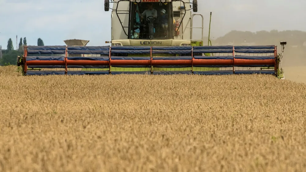 FILE PHOTO: A combine harvests wheat in a field near the village of Zghurivka, amid Russia's attack on Ukraine, in Kyiv region, Ukraine August 9, 2022. REUTERS/Viacheslav Musiienko/File Photo