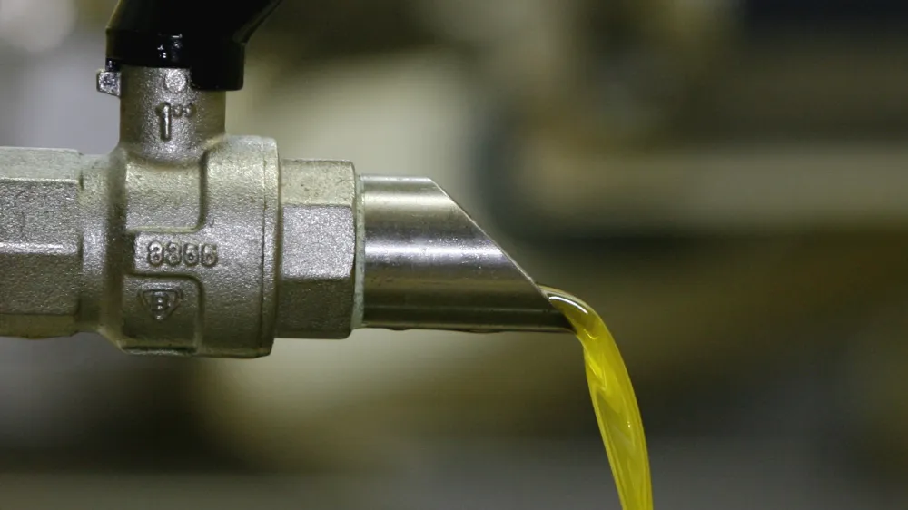 - Oljarna Torkla &Scaron;alara, stiskalnica - stiskanje olja  - Družinska kmetija Vanja Dujc - pridelovanje oljk in oljčnega olja Vanja - obiranje in proizvodnja oljčnega olja v slovenski Istri- nasad oljk Vanje Dujca leži na jugozahodnih pobočjih Male Seve nad Portorožem- obiranje in proizvodnja oljčnega olja - oljke - olive//FOTO: Bojan VelikonjaOPOMBA: ZA OBJAVO V PRILOGI &ndash; DNEVNIKOV OBJEKTIV - REPORTAŽA