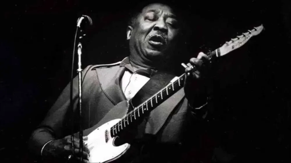 Muddy Waters F youtube