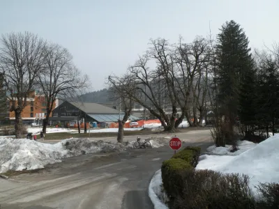 bohinjska bistrica n
