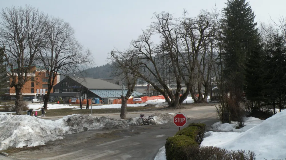 bohinjska bistrica n