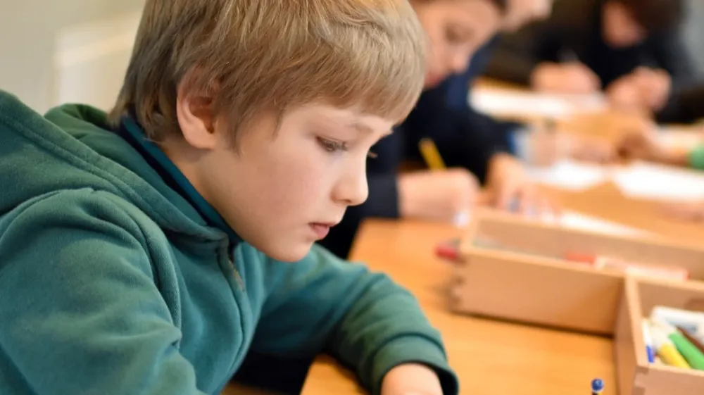 Počitni&scaron;ko varstvo v Mali ulici