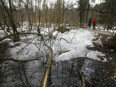 Med največjimi mokri&scaron;či v Krajinskem parku Tivoli, Rožnik in &Scaron;i&scaron;enski hrib, če od&scaron;tejemo približno 40 ekstenzivnih travnikov, so Kose&scaron;ki bajer in Tivolski ribnik ter naravna rezervata Mostec in Mali Rožnik oziroma Rakovni&scaron;ko barje.&nbsp;
