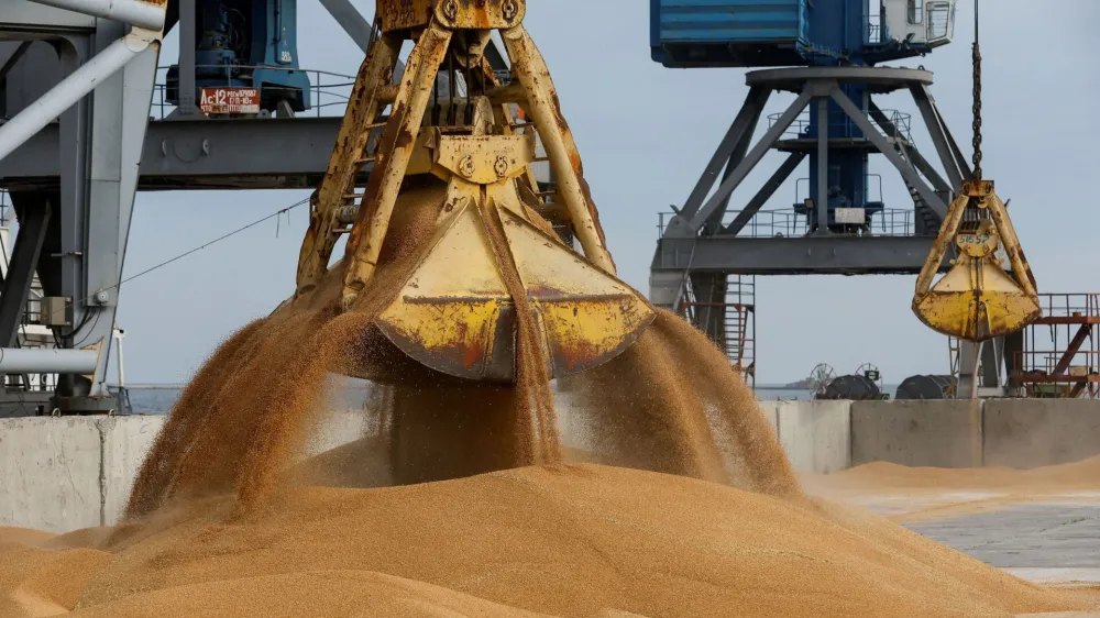 FILE PHOTO: A crane loads wheat grain into the cargo vessel Mezhdurechensk before its departure for the Russian city of Rostov-on-Don in the course of Russia-Ukraine conflict in the port of Mariupol, Russian-controlled Ukraine, October 25, 2023. REUTERS/Alexander Ermochenko/File Photo
