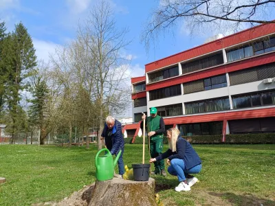 V parku za &Scaron;olskim centrom &Scaron;kofja Loka so s sajenjem dreves poskrbeli za biotsko raznovrstnost in ozelenitev mesta.