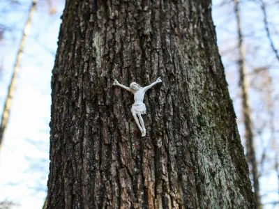 - 20.02.2024. - Simbolična fotografija, Jezus na drevesu, vera, kr&scaron;čanstvo, religija, Katoli&scaron;ka cerkev, religija.<br><br>//FOTO: Bojan Velikonja