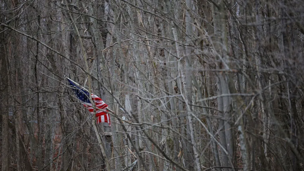 A United States flag hangs in the trees at the end of a driveway near the border with Canada in Mooers, New York, U.S., March 27, 2024.  REUTERS/Brian Snyder