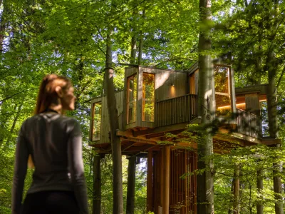 Drevesna hi&scaron;a v Celju z aprilom ponovno odprta za obiskovalce. F Rok deželak